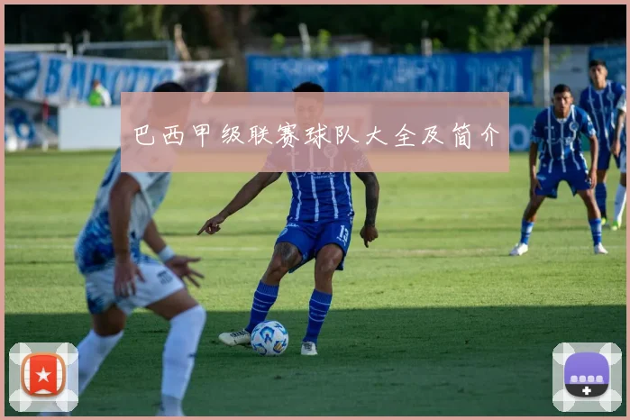 巴西甲级联赛球队大全及简介