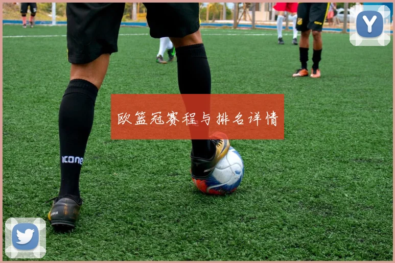 欧篮冠赛程与排名详情