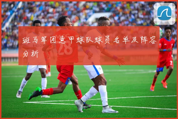 斑马军团意甲球队球员名单及阵容分析