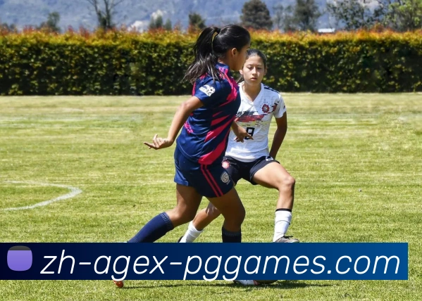 PG电子平台生态图