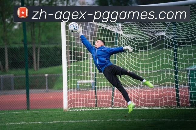 PG电子全站App PG电子全站App