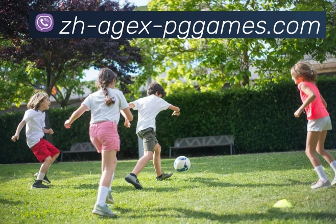 辅助工具 辅助工具